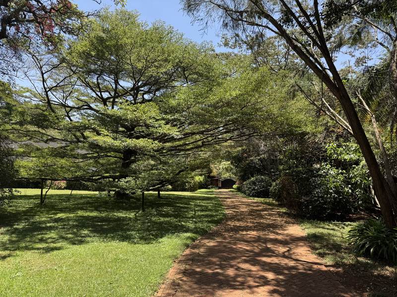 Serengeti Manor - Gallery 2